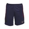 Футбольные шорты Paris Saint-Germain Edition с цветным логотипом и эластичной талией, мужские, темно-синие, DX3193-498