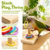 6PCS Natural Wood Base Stacking Ring Small Size Stable Construction Tabletop Bird Space Saving Daily Training