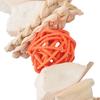 Parrot Chew Toy Hand Woven Calcium Supplement Cuttlefish Bone Bird Cage Toys for Small Parrots Parakeets Conures Cockatiels Love Birds