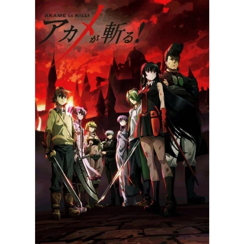 Японское Аниме Akame Ga Kill Акаме Постер Аниме Персонаж Декор Стен Холст Принт Украшение для Игровой Комнаты Домашнее Настенное Искусство Картина