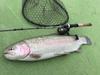 AbuGarcia Pack Rod Spinning Rockfish Aging Area Trout (ZoomSafari) ЗМСС-505Л