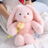 Плюшевая кукла-игрушка в виде кролика с длинными ушами ко Дню святого Валентина с Xiaohongshu.