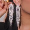 High-End Luxury Long Tassel Earrings Fashion Shiny Rhinestone Earrings Elegant Trend Earrings Women's Earrings 1 Pair