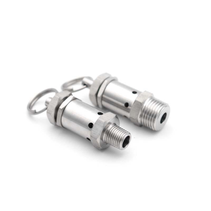 BSPT NPT 1/4 "1/2 "Male Thread 0.5-10 Bar Exhaust 304 Stainless Steel Sanitary Mini Spring Safety Valve For Air Compressors
