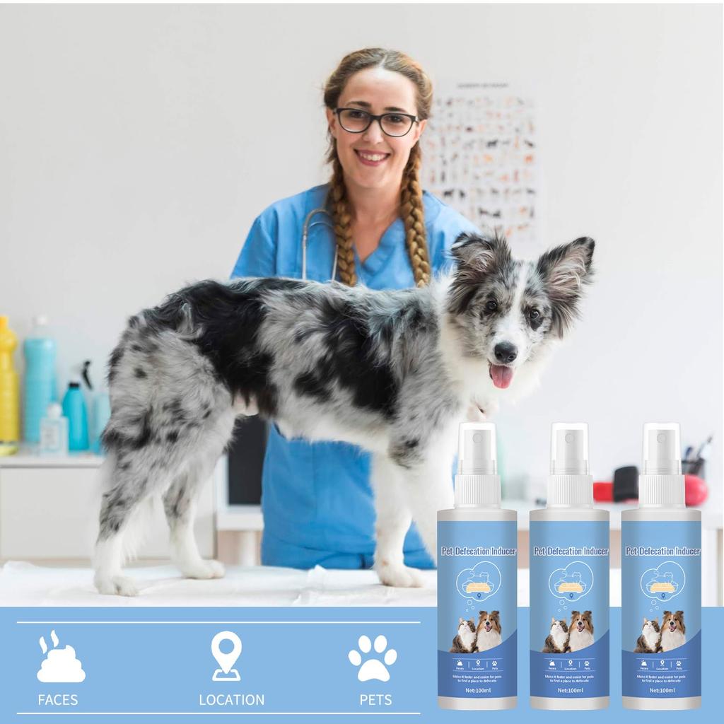 Dog Toilet Training Spray, Puppy Toilet Training Spray, Corrects Your Dog's Bad Bowel Behavior And Helps You Train Your Dog To The Toilet 100ml
