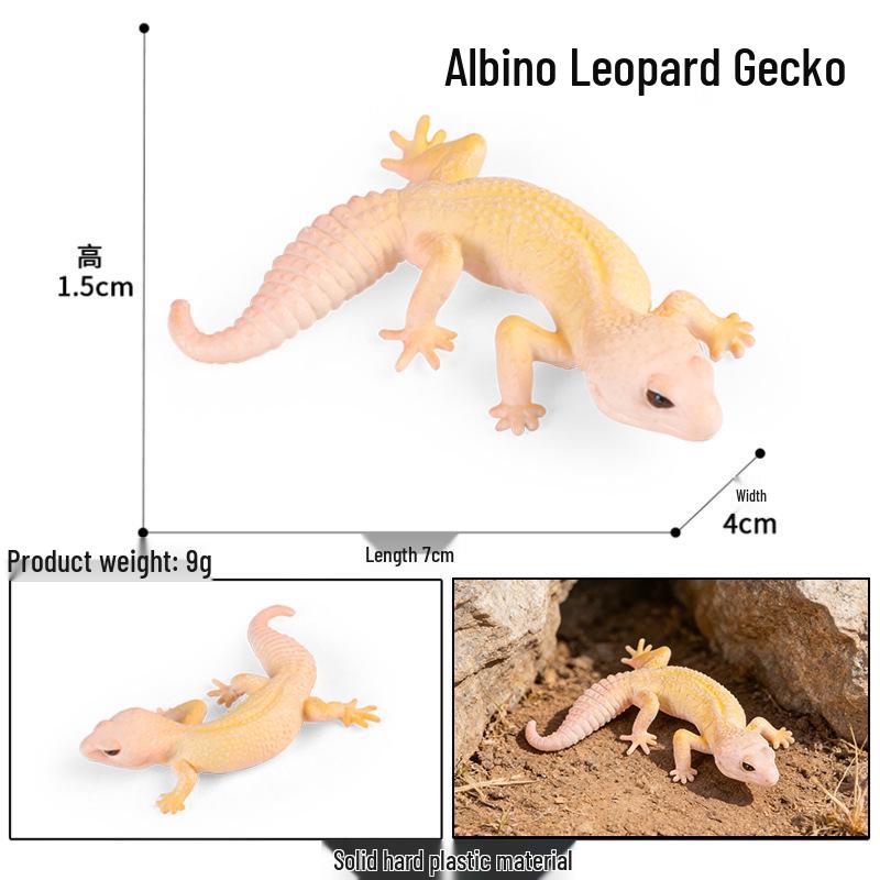 Cute Animal Models: Japanese Raccoon, Flying Squirrel, Monkey, Rabbit, Squirrel, Shiba Inu, Tiger, Lion, Lizard Toy Set