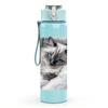 1PC Gray Cat Sleep Pillow Art Print 750ml Color Plastic Sports Water Bottle Leakproof Flip Straw Lid Suitable for Sports Office Home Use