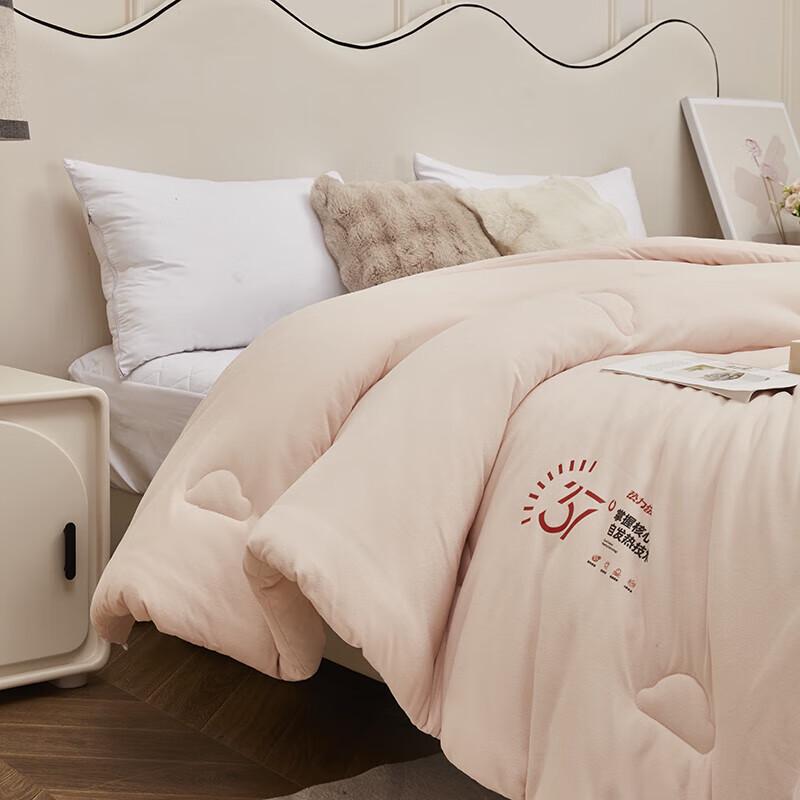 Red Dragonfly Thermal Velvet Winter Quilt