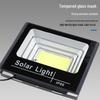 Xunhui Zhiguang Outdoor Solar LED Floodlight