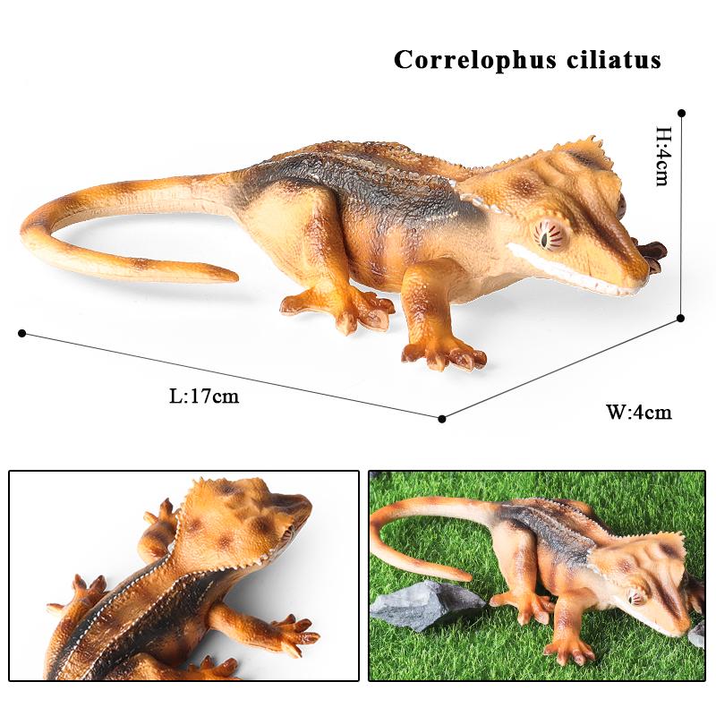 Oenux Simulation Reptile Lizard Chameleon Geckos Insect Animals Model Action Figure Collection Toys Kids Gift Home Decorations