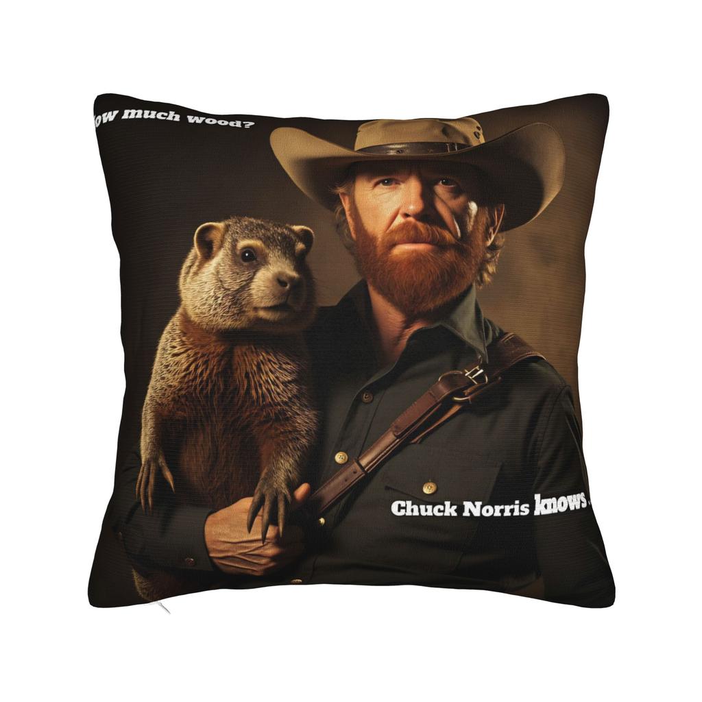Chuck norris Poster Pillow Case  Custom Pillow Cover For Wedding Party Home Decor Morden Cushion Cover