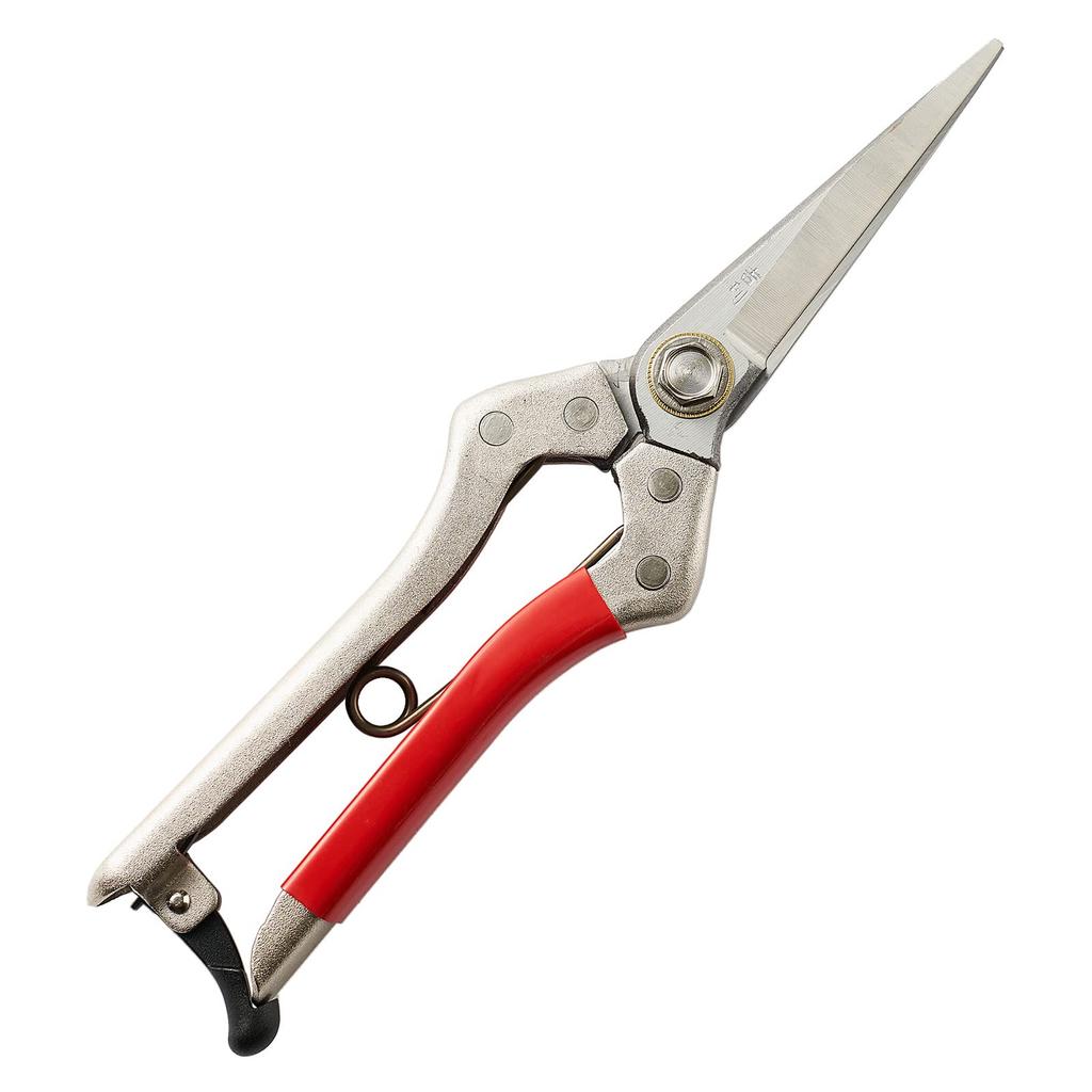 Aguri no Kura Geely long blade pruning made in made in Niigata for detailed for harvesting for cutting and thinning the buds of fruit for pruning