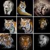 5D DIY Diamond Painting Tiger Rhinestone Picture Full Diamond Embroidery Animal Mosaic Art Cross Stitch Kit Home Decor Gift