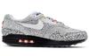Nike Air Max 1 Tokyo Maze CI1505-001