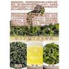 PD Limited20 Points Return One Leaf Meeting Oolong Tea Bags Leaves Fujian Province Produced Chinese Cold Brew Pack Hand-Picked No Additives High 90g