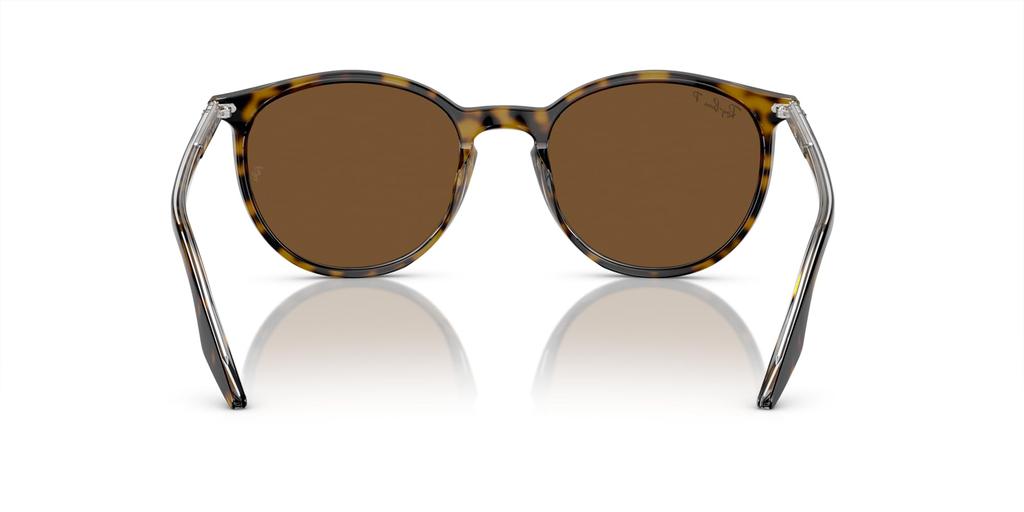 Солнцезащитные очки RB2204F ГАВАНА НА ПРОЗРАЧНОМ 54 Ray-Ban