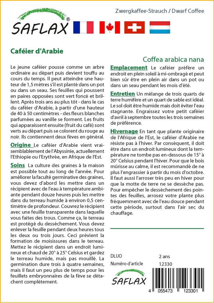 SAFLAX Кофе Карлик - 8 семян - Coffea arabica nana