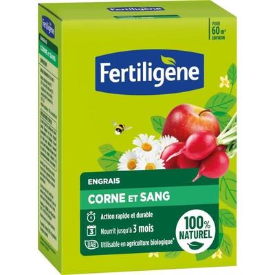 FERTILIGENE FCOSAN3 - Удобрение из рога и крови 3 кг - Быстрое и длительное действие - Питает до 3 месяцев - До 60 м² удобренных