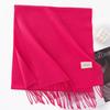 New Solid Color Maillard Imitation Cashmere Scarf for Women Autumn and Winter High End Warm Shawl Simple Scarf
