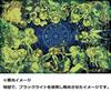 Epoch jigsaw Aim to be a puzzle The story of the 12 constellations puzzle Co., Ltd. 1000-piece puzzle master! [Glow-in-the-dark (50x75cm)]