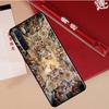 Чехол-картина эпохи Возрождения Для Oppo A94 A18 A74 A57 A17 A77 A38 A58 A78 A98 A54 A80 A60 A40 A96 A76 A16 A15 A5 Pro