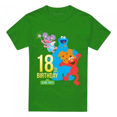 Sesame Street Unisex Adult 18th T-Shirt