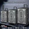 GAV K915 15-дюймовый портативный уличный Bluetooth-динамик KTV, штепсель CN (адаптер в комплекте) (Китайская версия)