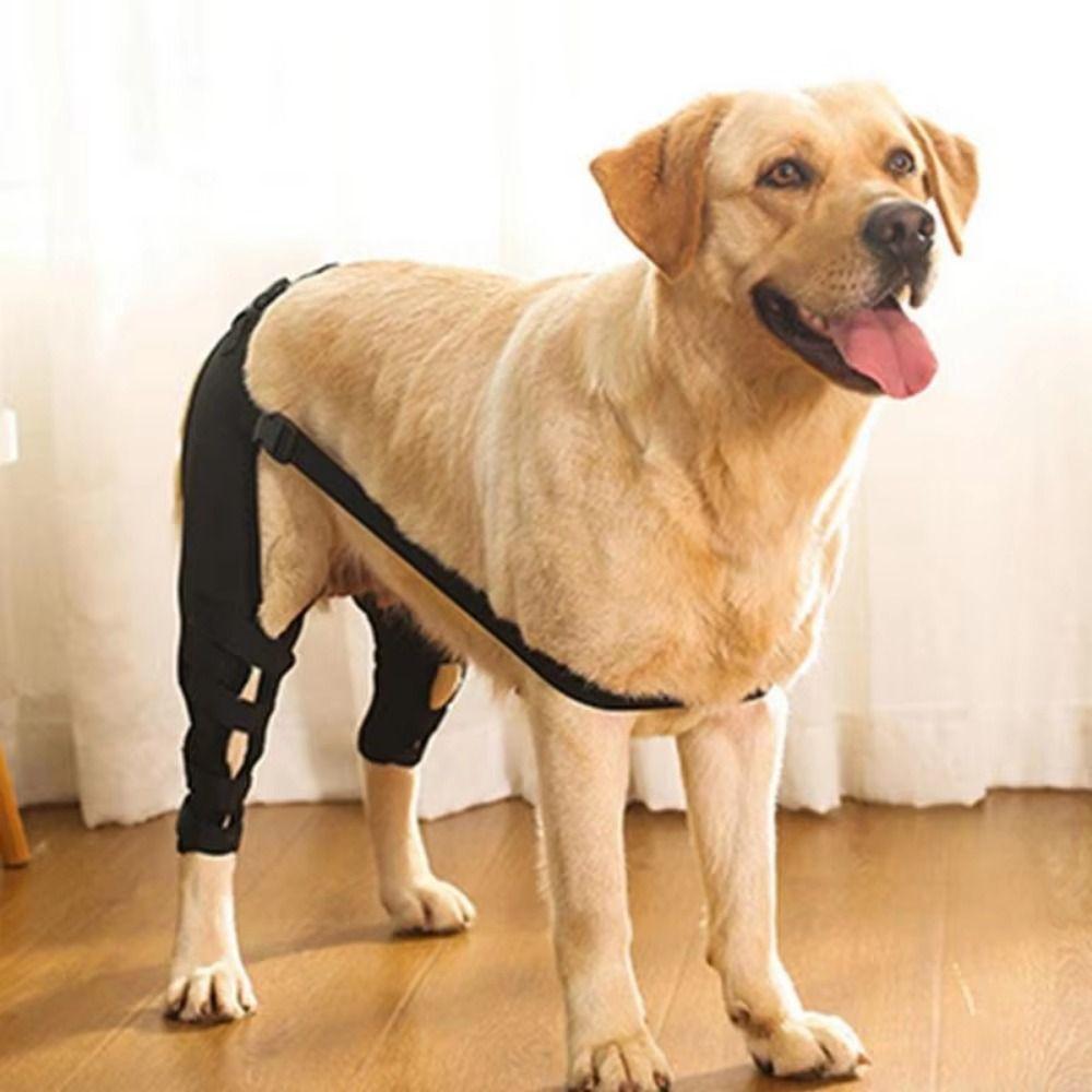 Adjustable Dog Knee Brace Comfortable Dog Leg Support Brace Pet Joint Protectors Wound Protection
