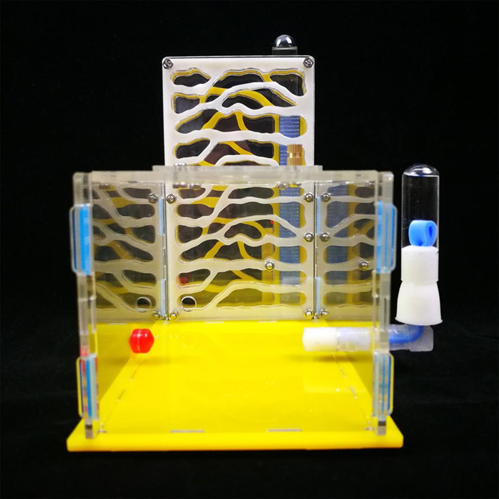 DIY T Design Feeding Area Acrylic Farm Insect Villa Mania House Ant Nest Birthday Present Gift