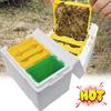 Queen Bee Breeding Box Bee Mating Box Foam Bee Hive Bee Beekeeping Beekeeper Case Box Equipment Pollination Box Garden Bree