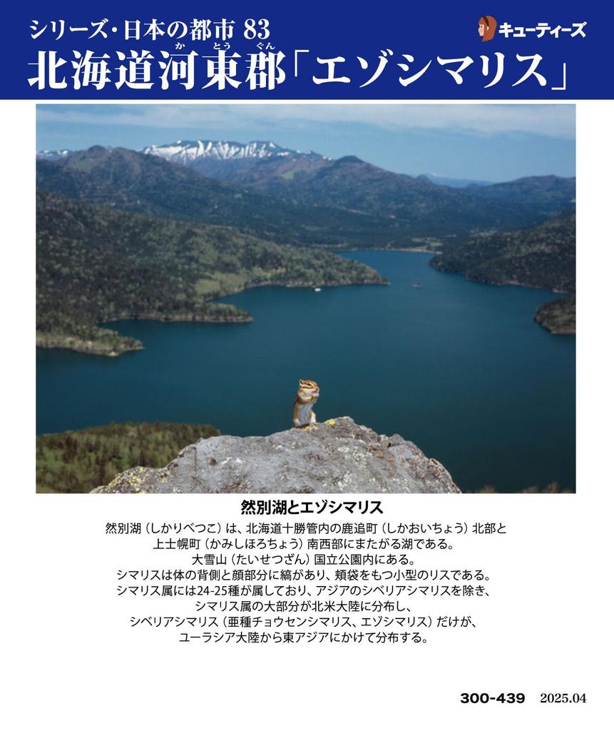 Cuties in 300 Piece Jigsaw Puzzle Japanese Cities 83 Kawato Hokkaido Comes with glue and sponge [Made Japan] District, "Ezo Chipmunk" (26x38cm)