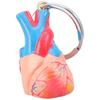Брелок Анатомическое Сердце Высокая Детализация 3D Печатная Модель из ABS для Студентов Профессионалов Легкий 20 г Образовательный Инструмент