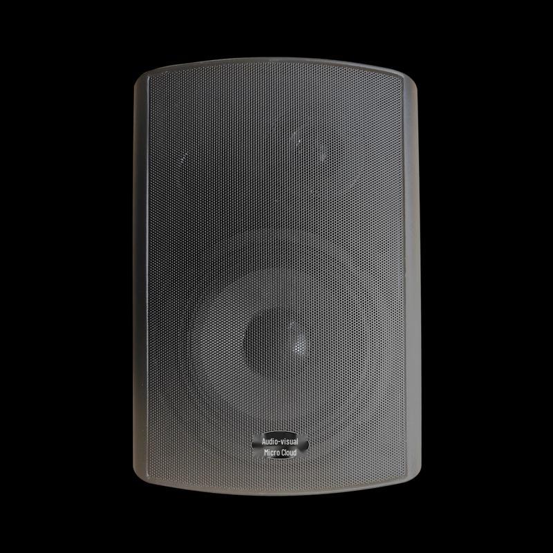 Vison Micro Cloud Indoor Conference Wall Speaker
