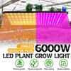 LED Growth Lamp For Plants 256 Led Grow Light Full Spectrum Phyto Lamp AC 85-265V Fitolampy Indoor Herbs Light For Greenhouse Grow 6000W