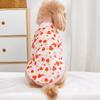Love Strawberry Fruit Pattern Autumn and Winter Cold Insulation Warm Cat and Dog Universal Plush Pet Hoodie New Style