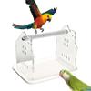 Tabletop Bird Perch Stand Claw Beak Grinding Parrot Play for Cockatiel Conures Small and