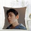 Korea Kpop ZZICO Cushion Cover Daily Washable Linen Pillowcase Soft  for Sofa Bed Home Room Decor