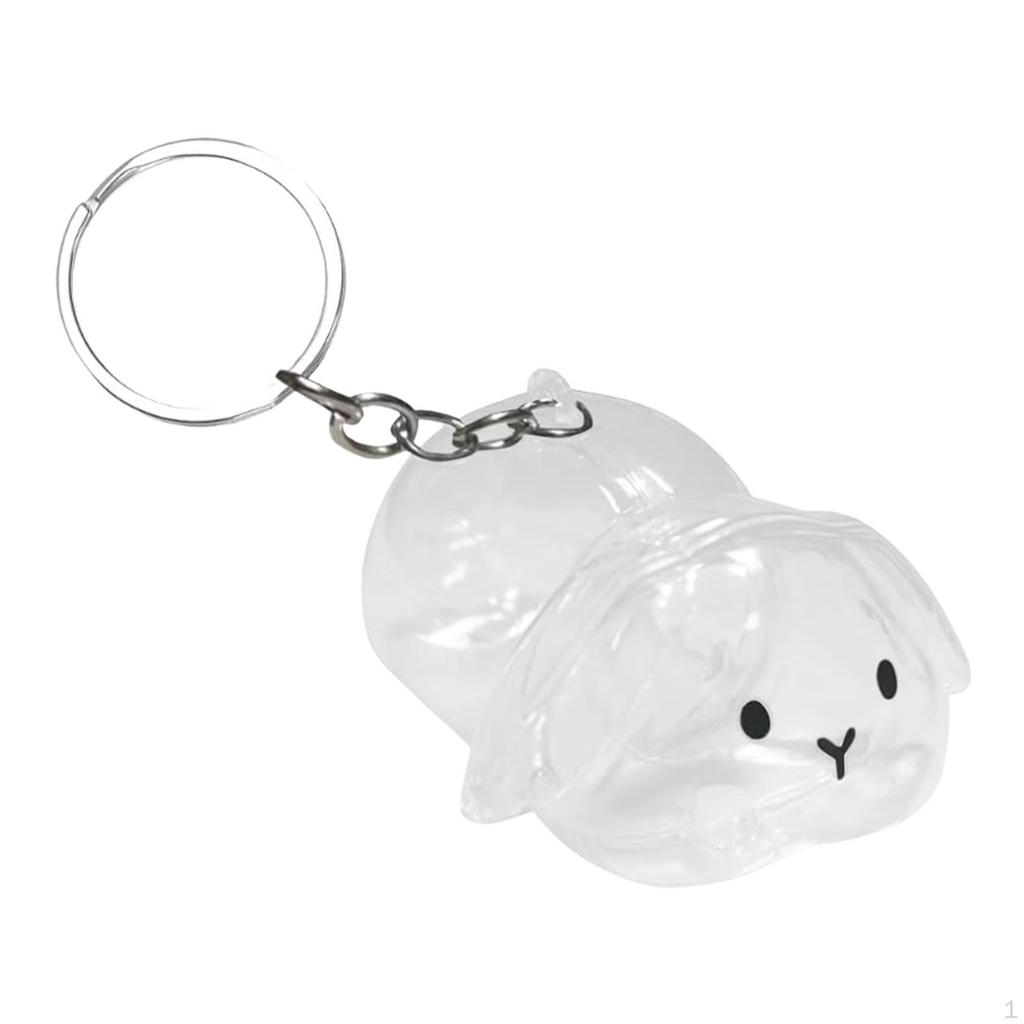 Collector Keyring for Pet Lovers Hair Holder Memorial Storage Box