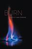 Книга Burn