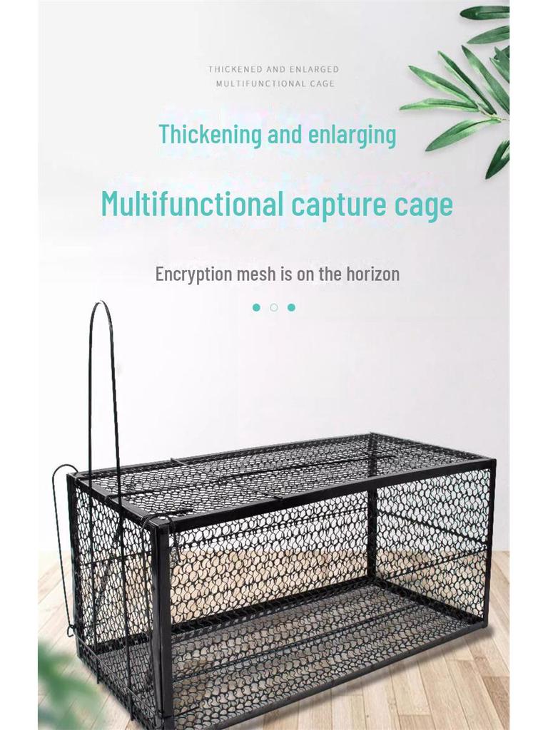 Полностью автоматическая клетка для больших кошек для гуманного спасения