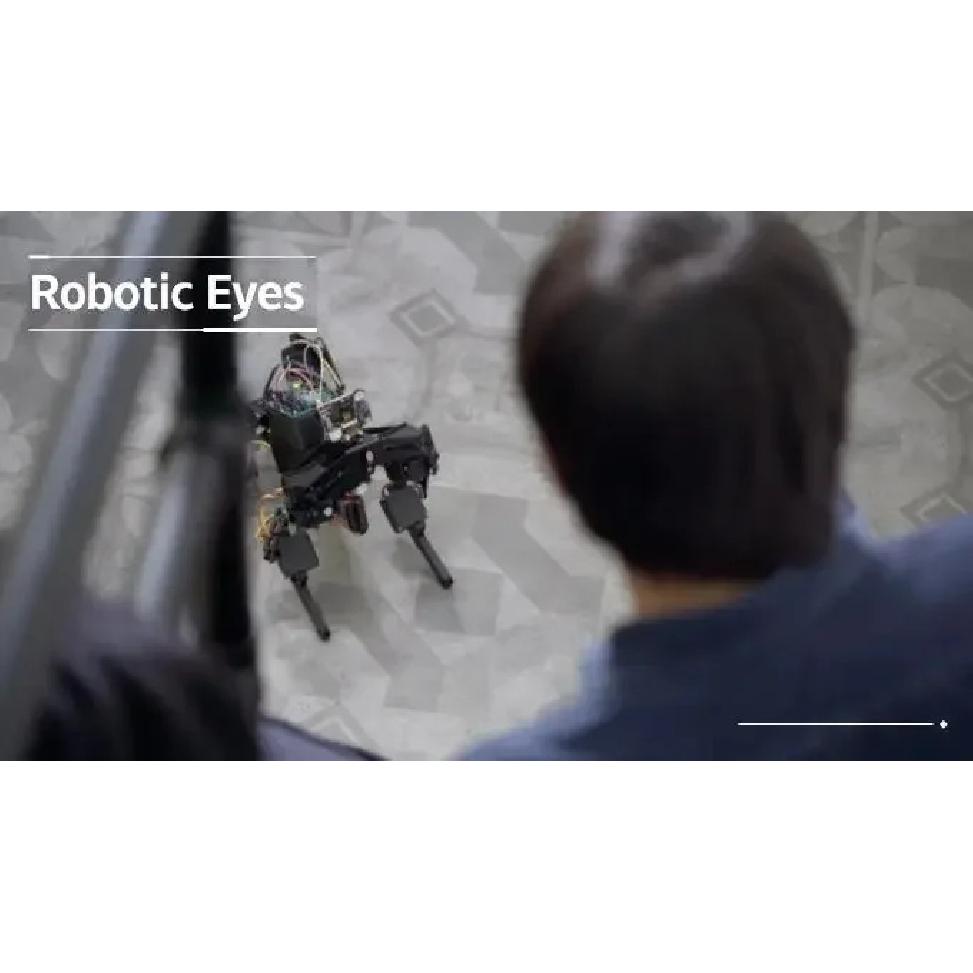 Модуль изображения датчика машинного зрения AI Распознавание цвета лица HUSKYLENS с силиконовым чехлом