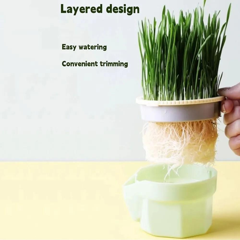 Cat Grass Cup Cat Soilless Hydroponic Cat Grass Повторяемый
