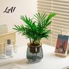 Water Reservoir Planter Self Watering for Indoor Plants Transparent Hydroponic Planter Decorative Clear Plastic Plant Holder Flowerpot with