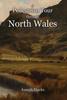 Книга A Pedestrian Tour Through North Wales In a Series of Letters