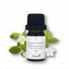 Aster Aroma - Organic Neroli Essential Oil