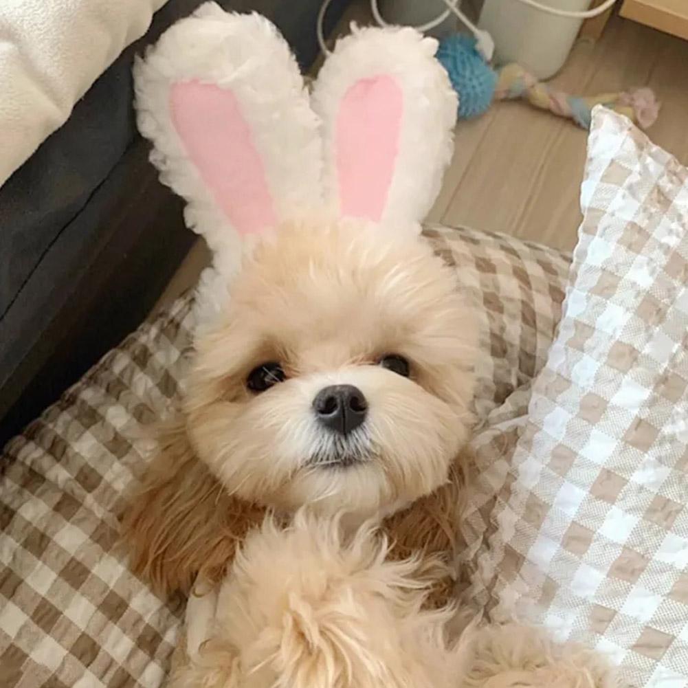 Забавный головной убор для кошки, милая шапка с ушками кролика, плюшевые ушки кролика для питомца, кошки, собаки, реквизит для выступлений, костюмы для косплея, принадлежности для кошек