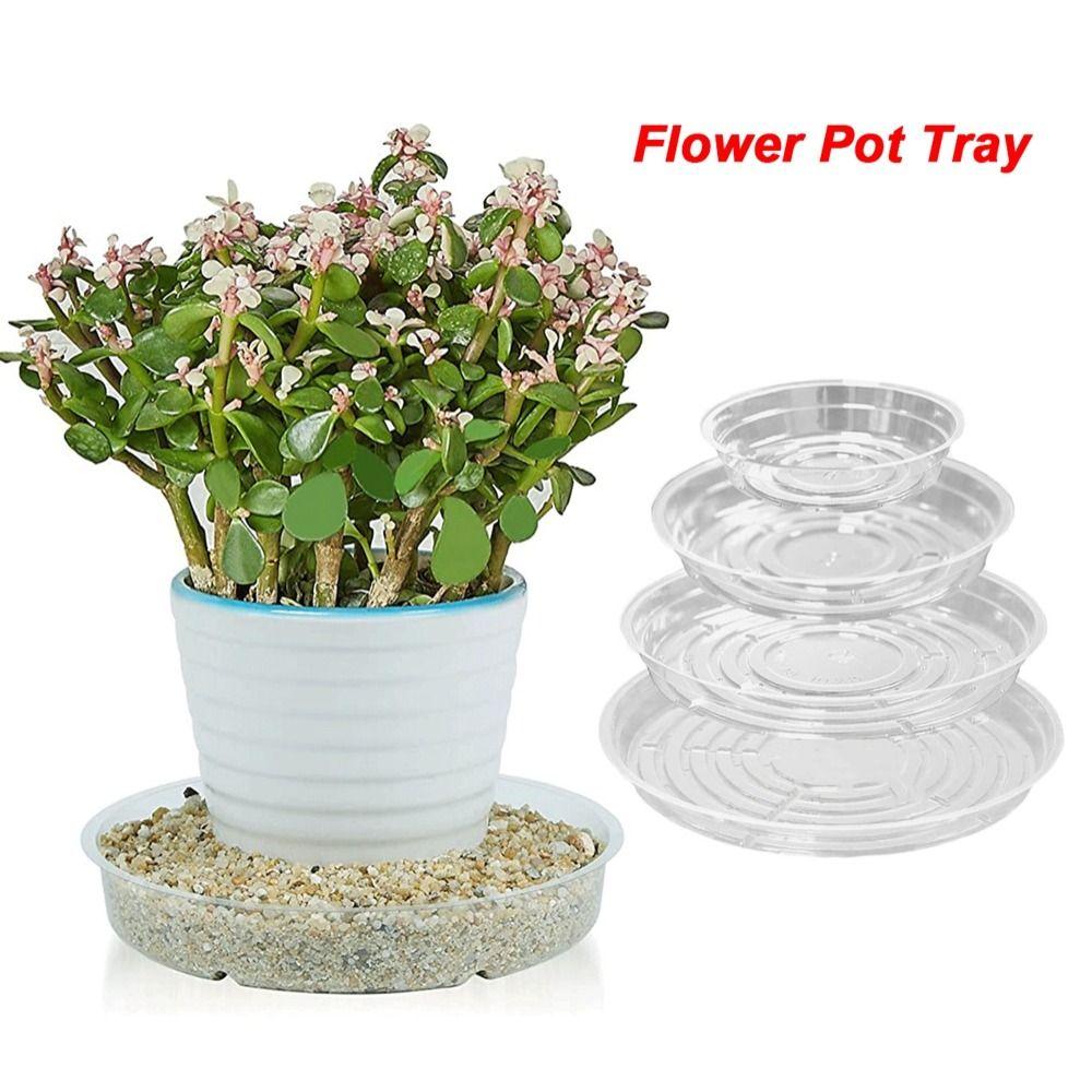5Pcs Clear Plant Plates PET Plants Saucer New Flower Pot Tray Indoor