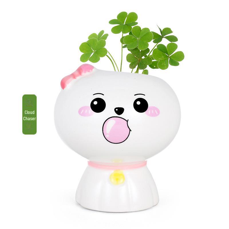 Creative Potted Plant Gifts for Kindergarten Birthdays and School Prizes