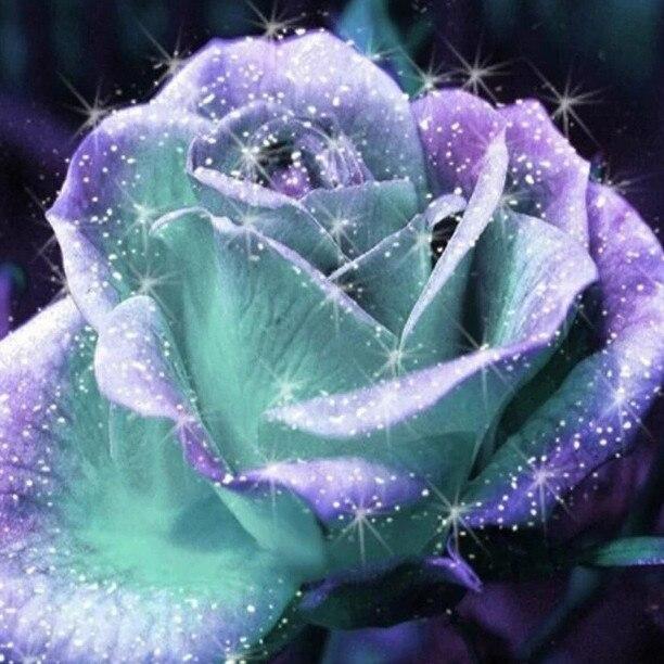 5D Алмазная мозаика "Роза" в ассортименте 50x50см