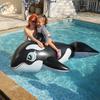 Inflatable Whale & Dolphin Surf Ride for Kids & Adults